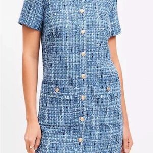 LOFT Blue Tweed Dress